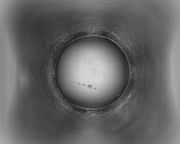 X0000116270913200911301210