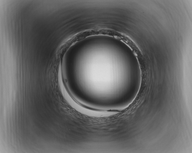 X0000116270919200911301210