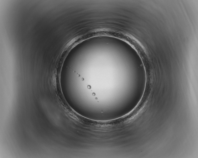 X0000116270921200911301210