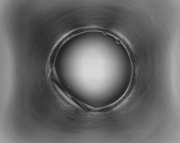 X0000116270925200911301210