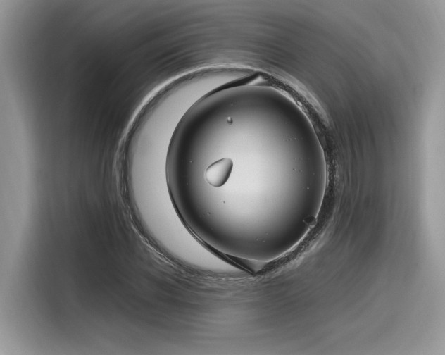 X0000116270926200911301210