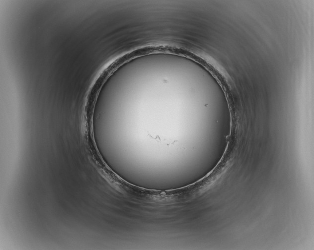 X0000116270927200911301210