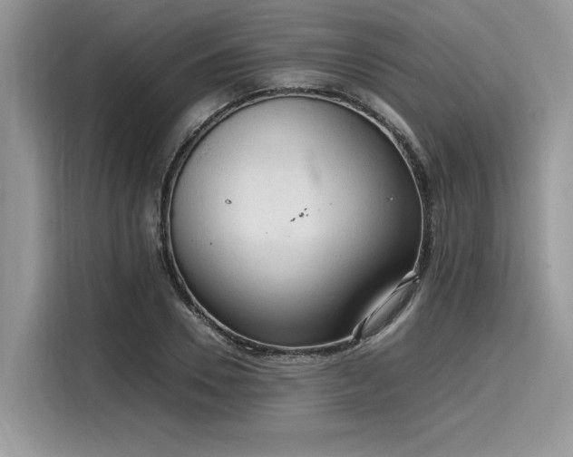 X0000116270930200911301210