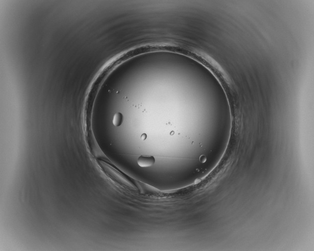 X0000116270935200911301210