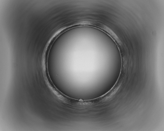X0000116270939200911301210
