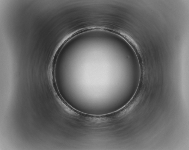 X0000116270941200911301210