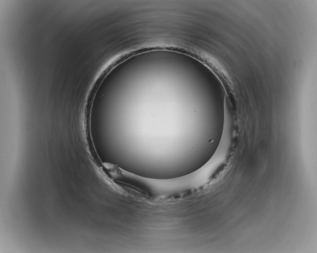 X0000116270942200911301210