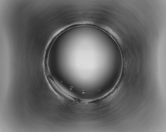 X0000116270943200911301210