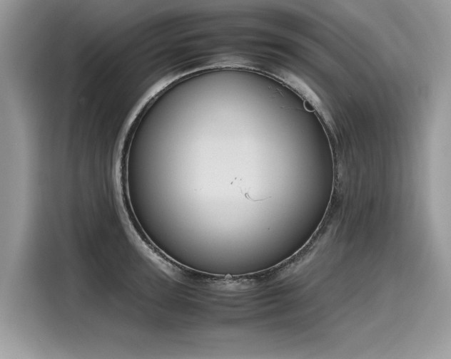 X0000116270947200911301210