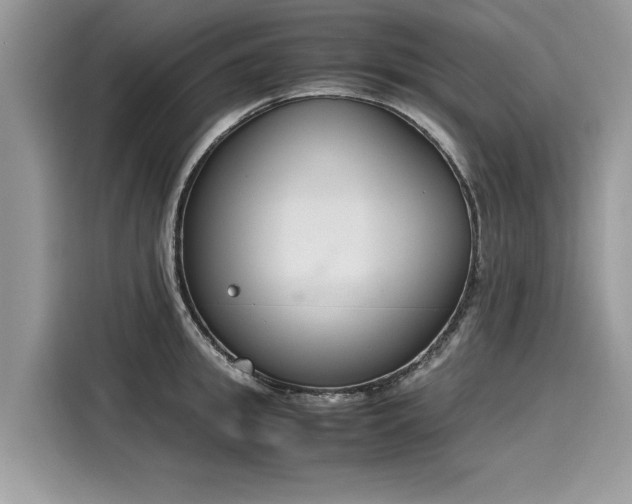 X0000116270949200911301210
