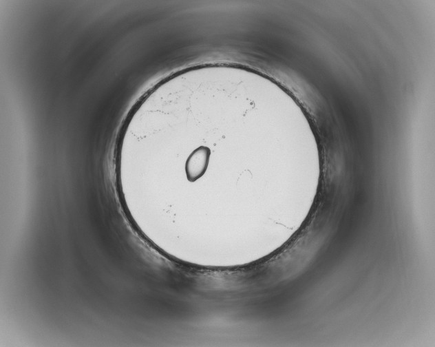 X0000116270950200911301210