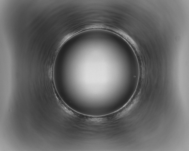 X0000116270953200911301210