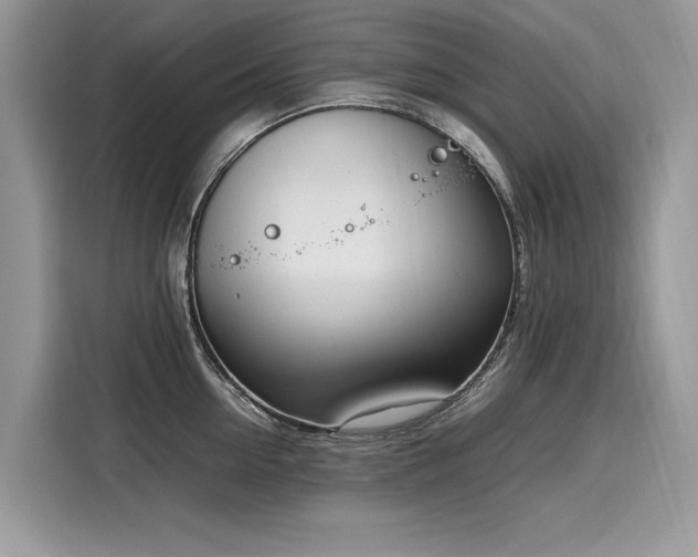 X0000116270954200911301211