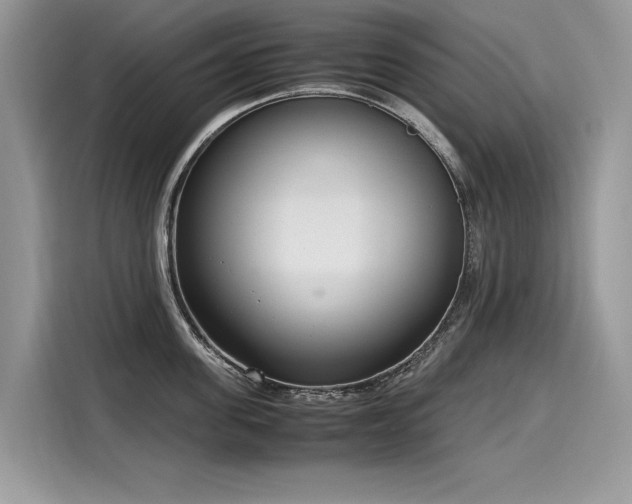 X0000116270955200911301211