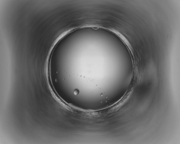 X0000116270957200911301211