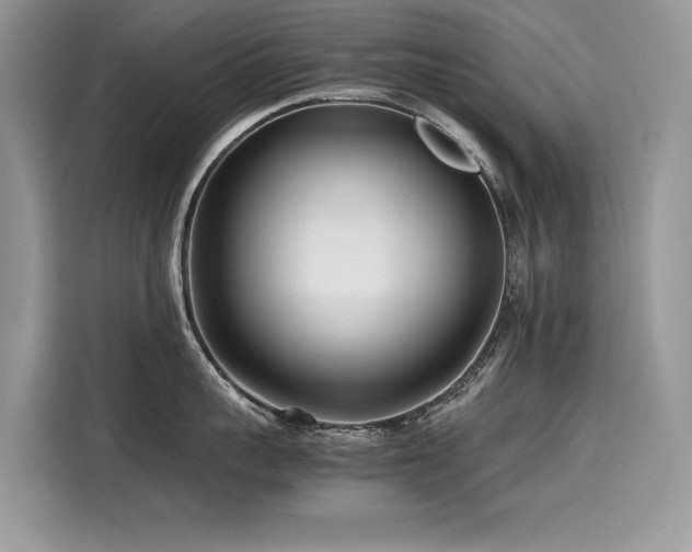 X0000116270959200911301211