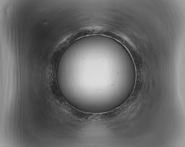 X0000116270967200911301210