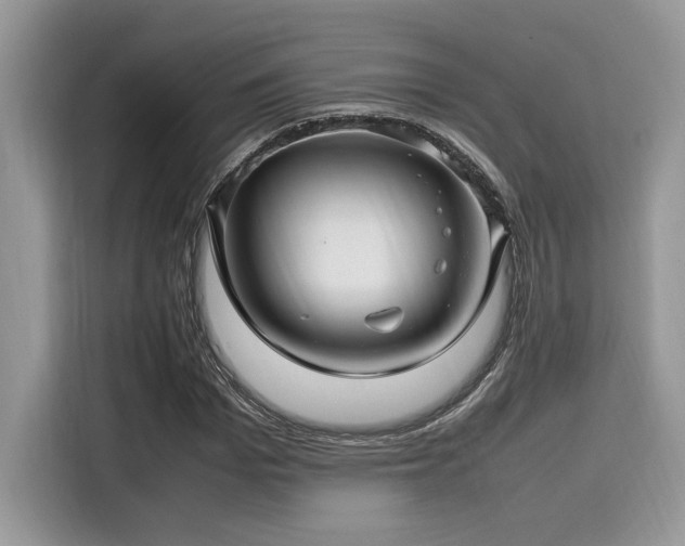 X0000116270969200911301210