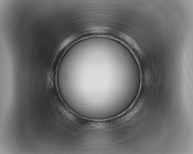 X0000116270970200911301210
