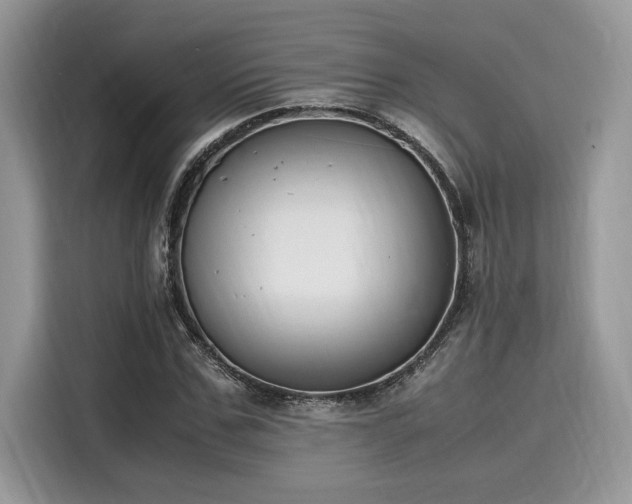 X0000116270971200911301210