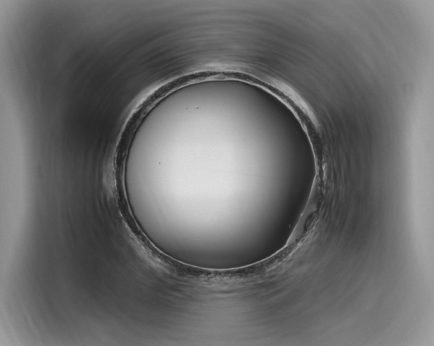 X0000116270972200911301210