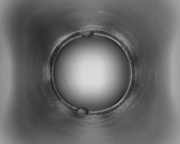 X0000116270973200911301210