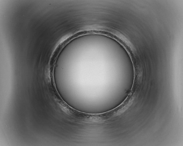 X0000116270974200911301210