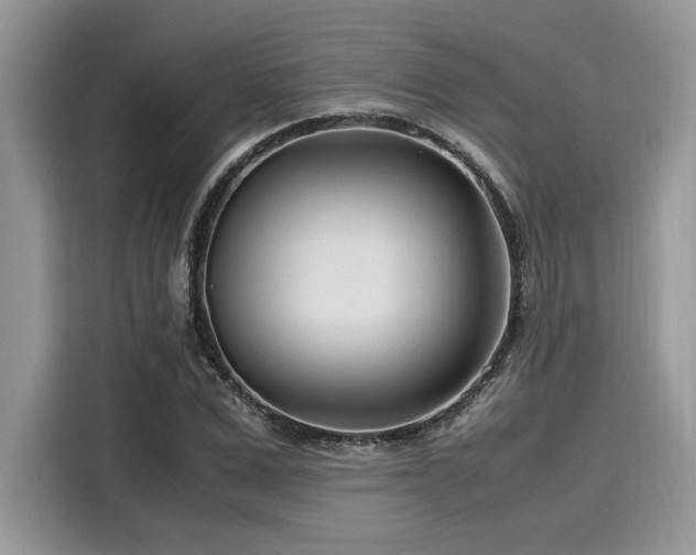 X0000116270975200911301210