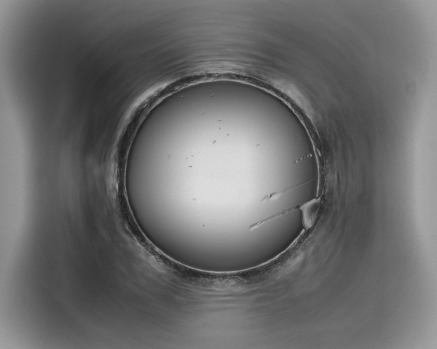 X0000116270979200911301210