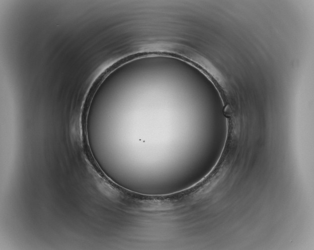 X0000116270980200911301210