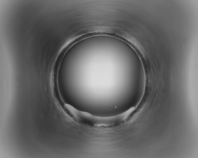 X0000116270983200911301210