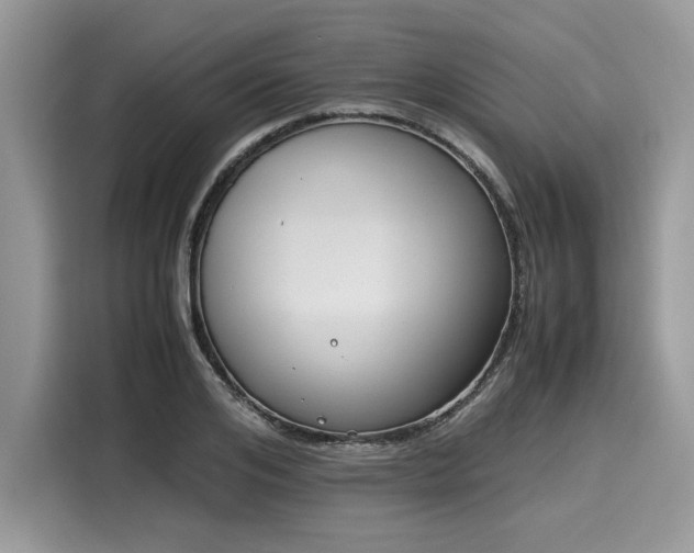 X0000116270984200911301210
