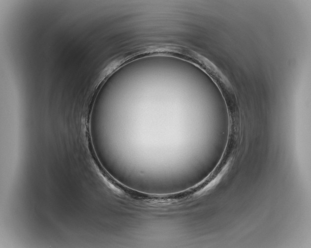 X0000116270985200911301210