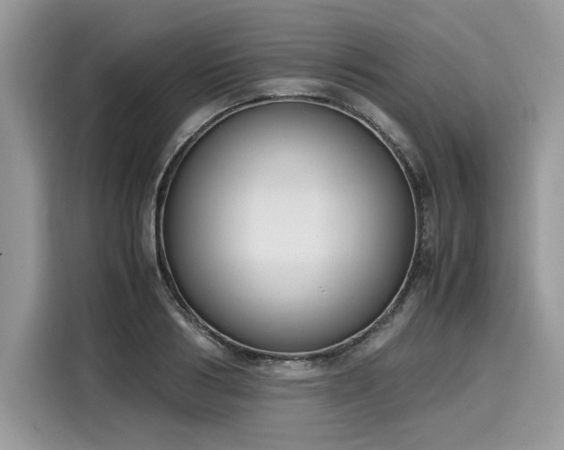 X0000116270986200911301210