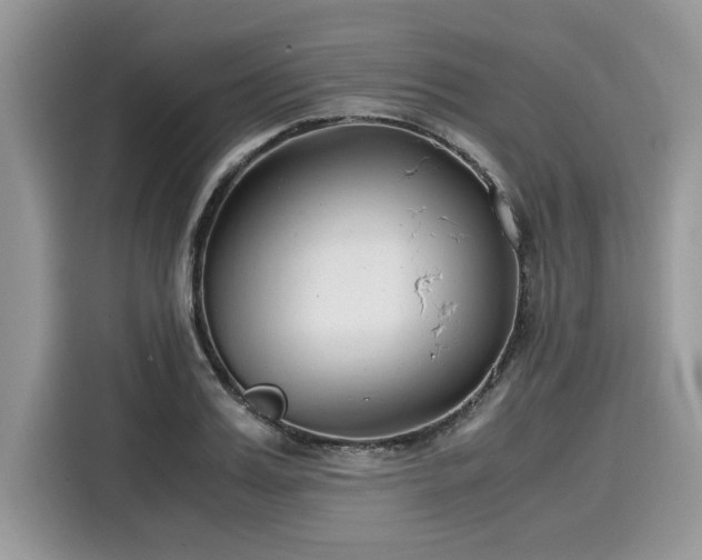 X0000116270987200911301210