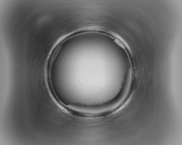 X0000116270989200911301210
