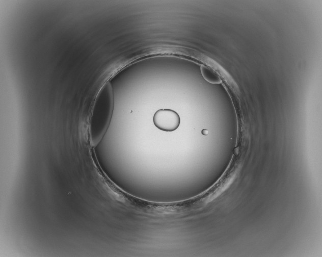 X0000116270993200911301210