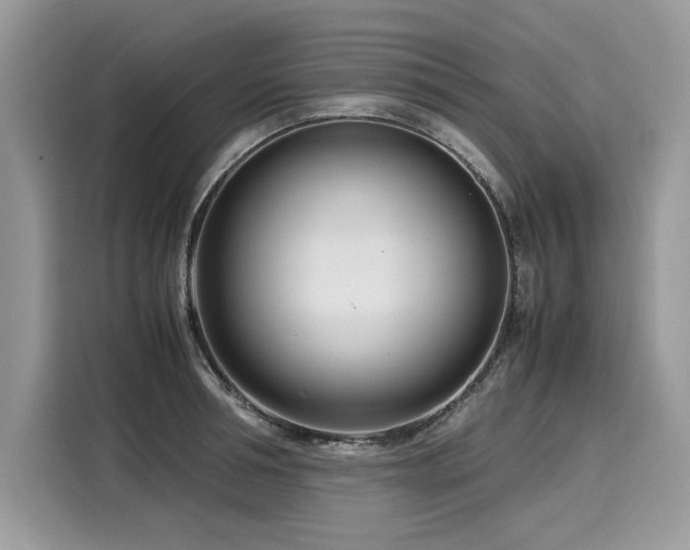 X0000116270994200911301210