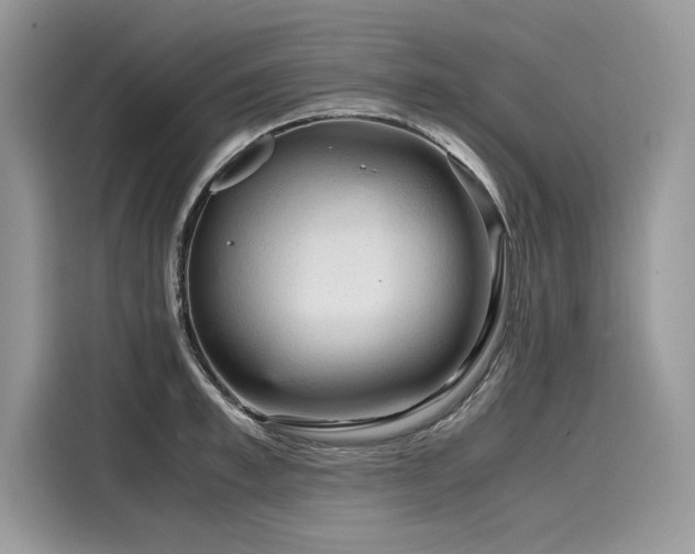 X0000116270997200911301209