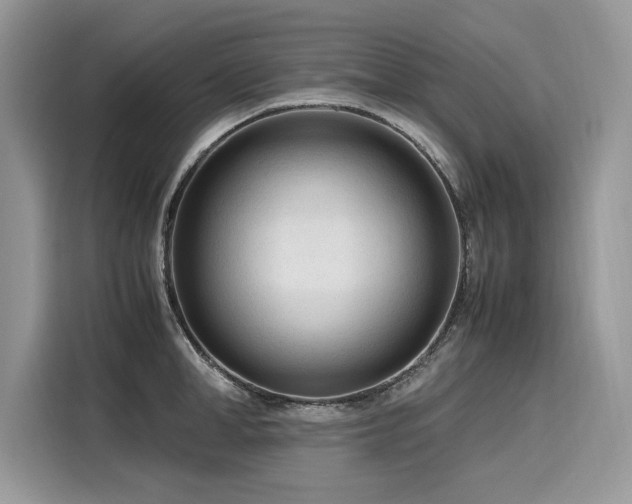 X0000116270998200911301209