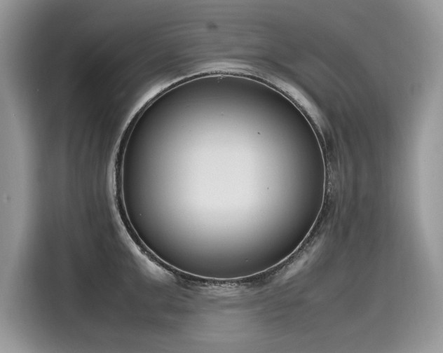 X0000116270999200911301209
