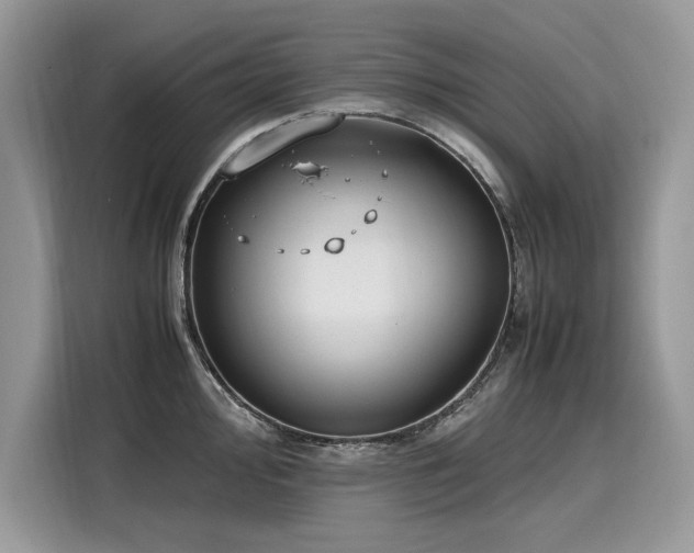 X0000116271000200911301209