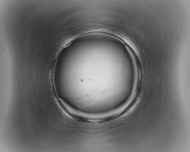 X0000116271001200911301209