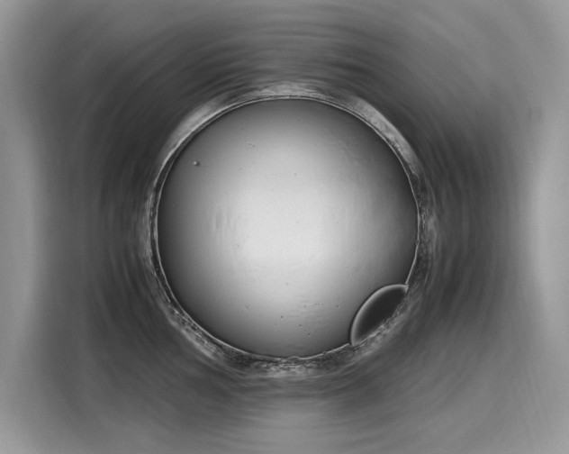 X0000116271002200911301209