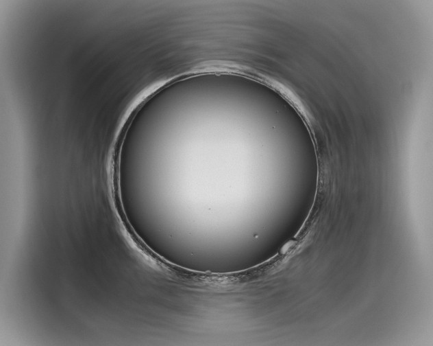 X0000116271003200911301209