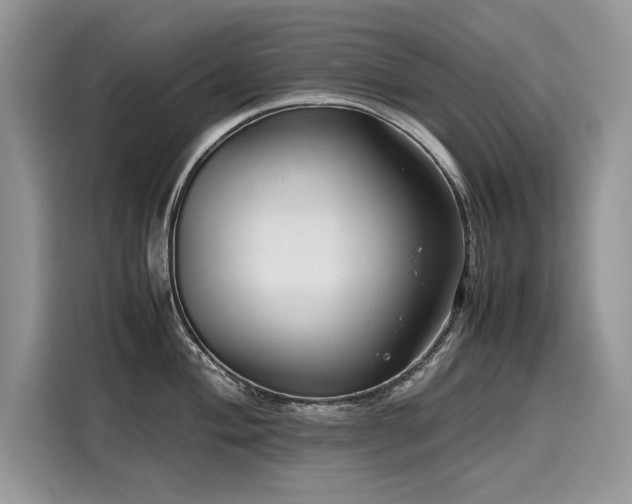 X0000116271004200911301209