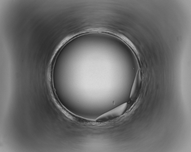 X0000116271005200911301209