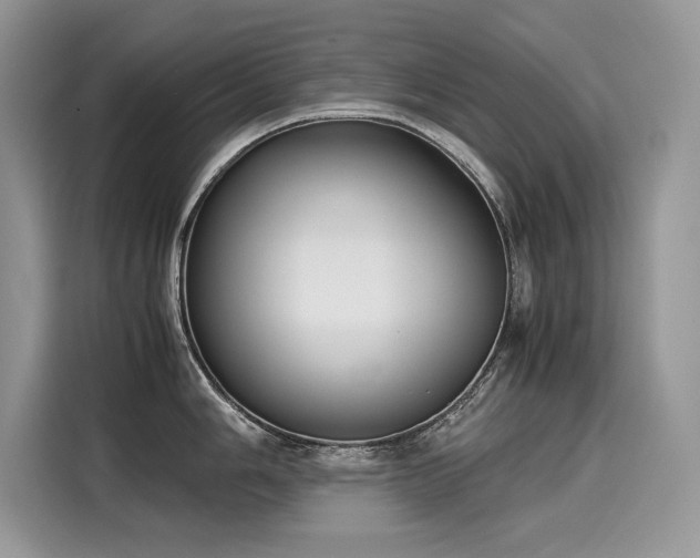 X0000116271006200911301209
