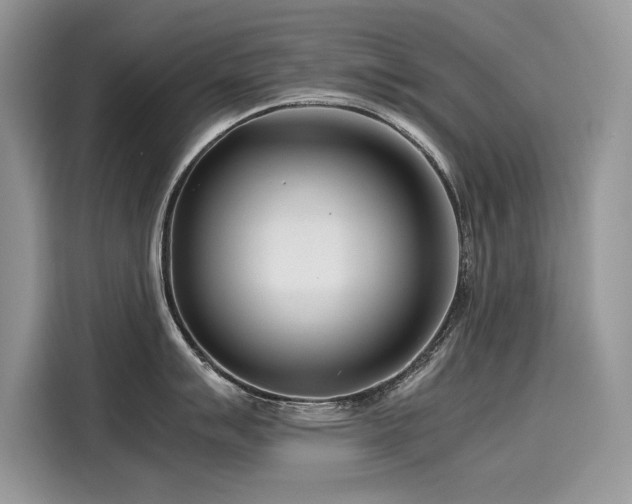 X0000116271007200911301209