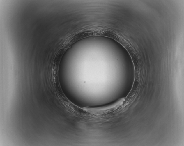 X0000116271010200911301209